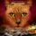 Artikelbild von Warrior Cats - Zeichen der Sterne. Der verschollene Krieger