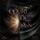 Artikelbild von Court of Sun 1: Court of Sun