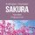 Artikelbild von Sakura