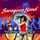 Artikelbild von The Party Mix, 1 Schallplatte