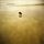 Artikelbild von Golden Solitude