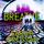 Artikelbild von Breathe