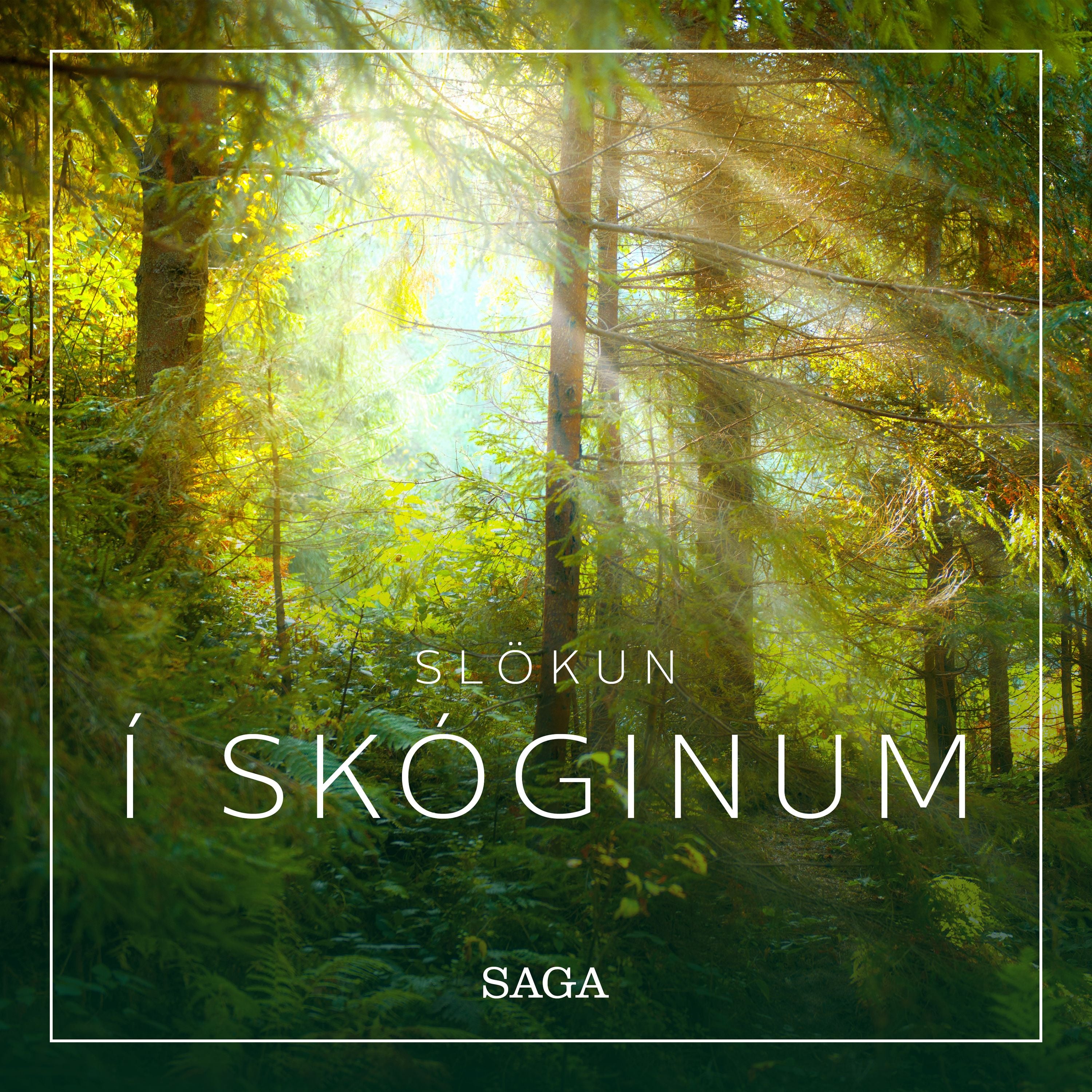 Artikelbild von Sl&ouml;kun - &Iacute; sk&oacute;ginum