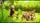 thumbnail-13