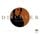 Artikelbild von Discover Mozart