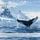 Artikelbild von Adventures in the Antarctic