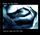 Artikelbild von Shape of the Night