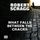 Artikelbild von What Falls Between the Cracks