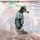 Artikelbild von Coming Up To Consciousness
