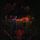 Artikelbild von Stranger Things: Soundtrack from the Netflix Origi