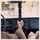 Artikelbild von Reverend Peyton's Big Damn Band, T: Between The Ditches