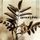 Artikelbild von Amorphis: Tuonela