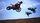 thumbnail-7