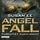 Artikelbild von Angelfall