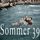 Artikelbild von Sommer 39