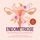 Artikelbild von Endometriose - Das Praxisbuch zur Selbsthilfe: Von der Diagnose, &uuml;ber den Alltag mit Unterleibsschmerzen bis zur ganzheitlichen Behandlung - inkl. Selbsttest, Ern&auml;hrungstipps & Audio-Meditationen