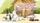 thumbnail-10