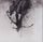 Artikelbild von The Hunting Party