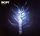 Artikelbild von Tree Of Light