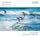 Artikelbild von Concertos with Flute