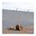Artikelbild von Anagrams