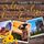 Artikelbild von Echte Cowboys k&uuml;ssen besser: Welcome to Buffalo Creek