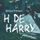Artikelbild von H de Harry