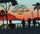 Artikelbild von Cinema Tropico