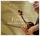 Artikelbild von Sonate a Violino Ed Altri Strumenti