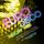 Artikelbild von Euro Disco History 1985, 2 Audio-CD