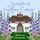 Artikelbild von Secrets of Foxglove Cottage