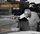 Artikelbild von Live In Paris 1952-1958