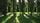 thumbnail-12