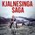 Artikelbild von Kjalnesinga saga