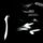 Artikelbild von Ribbons