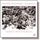 Artikelbild von Flying White - Streichquartette 2-5