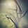 Artikelbild von Rwake: Rest