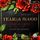 Artikelbild von Tears & Blood: Verlangen - Mafia Dark Romance