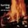 Artikelbild von Burning Hell (Bluesville Acoustic Sounds Ser. LP)
