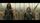 thumbnail-13