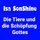 Artikelbild von Die Tiere und die Sch&ouml;pfung Gottes