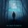 Artikelbild von If She Waited (A Kate Wise Mystery&mdash;Book 14)