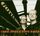 Artikelbild von Gotta Look Up
