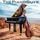 Artikelbild von The Piano Guys