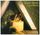Artikelbild von Lionheart (2018 Remaster)