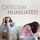 Artikelbild von Criticism Humiliates!