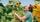 thumbnail-9
