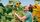thumbnail-9