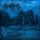 Artikelbild von Lupine Essence