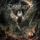Artikelbild von Down The Heavens